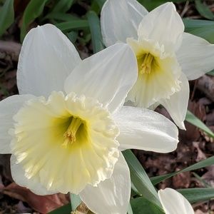 Meet your Posher, Jean